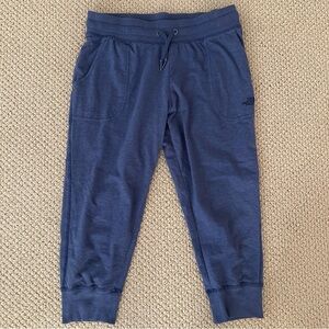 The North Face Women’s Jogger Sweatpants Blue Size XL Athleisure